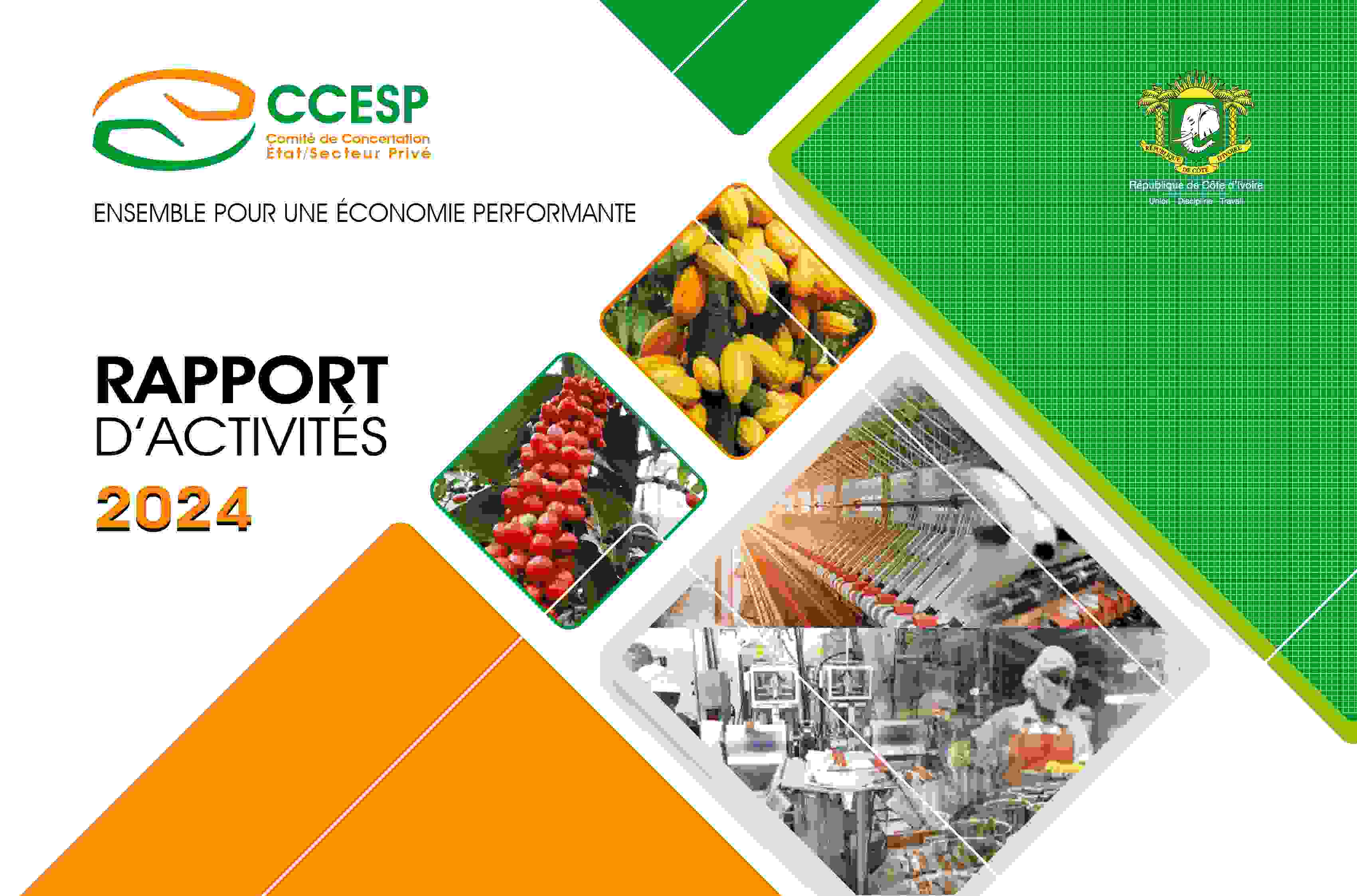 RAPPORT D'ACTIVITES CCESP 2024